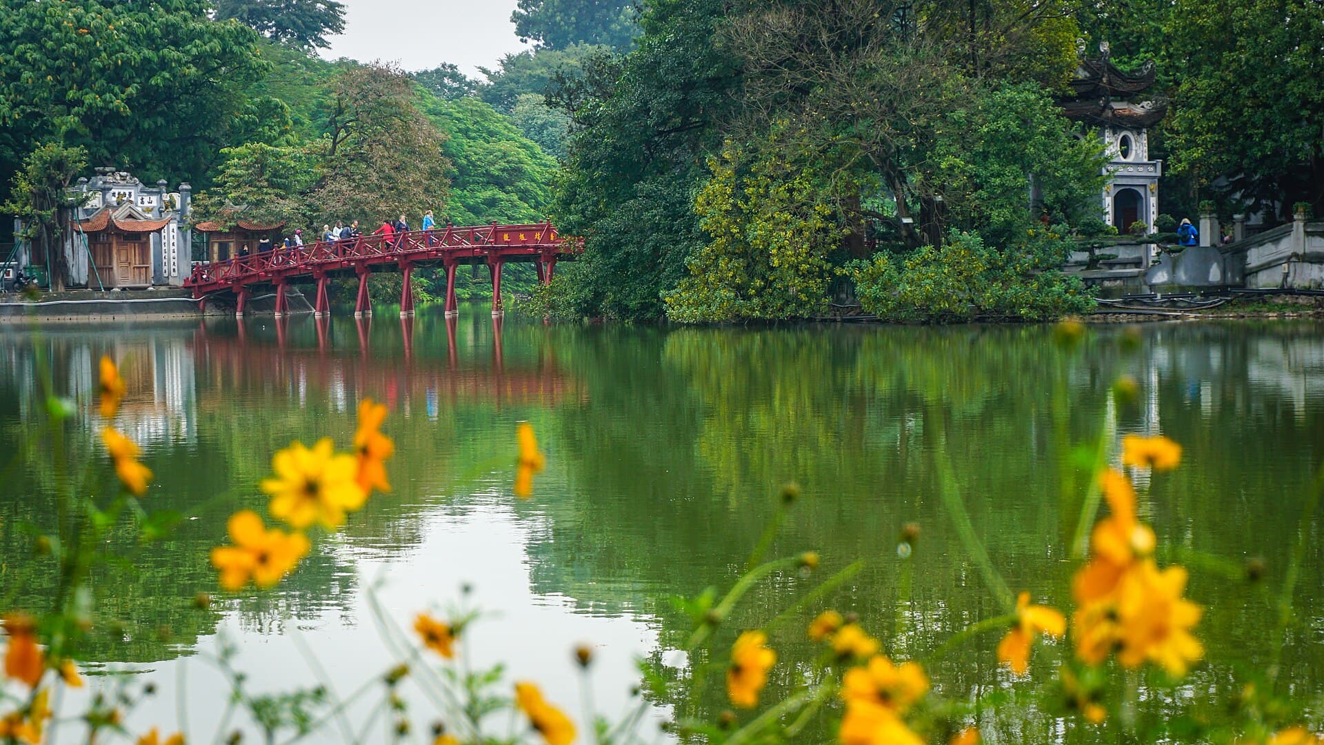 The red The Huc bridge curving across Hoan Kiem Lake to Ngoc Son Temple in central Hanoi, framed by yellow flowers on the near bank